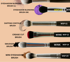 WINK Signature 6 Eye Lip Brush Set | Ace Vanity India