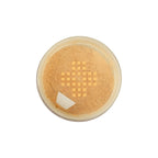 Translucent Powder Extra Fine
