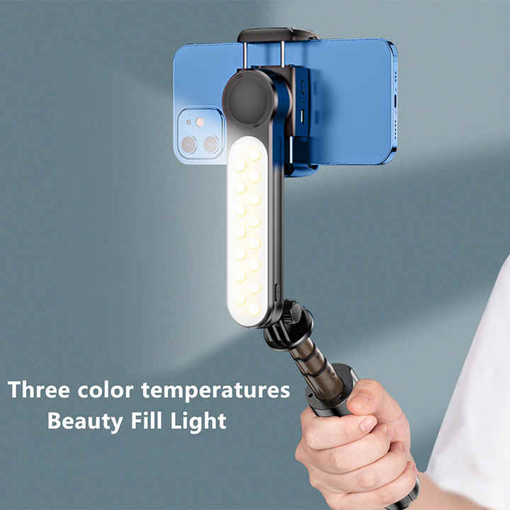 Ace Pro L-09 Gimabl Gimbal for Studio Use | Ace Vanity
