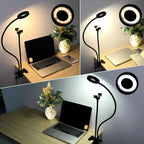 MINI-MOUNTED LED FILL LIGHT