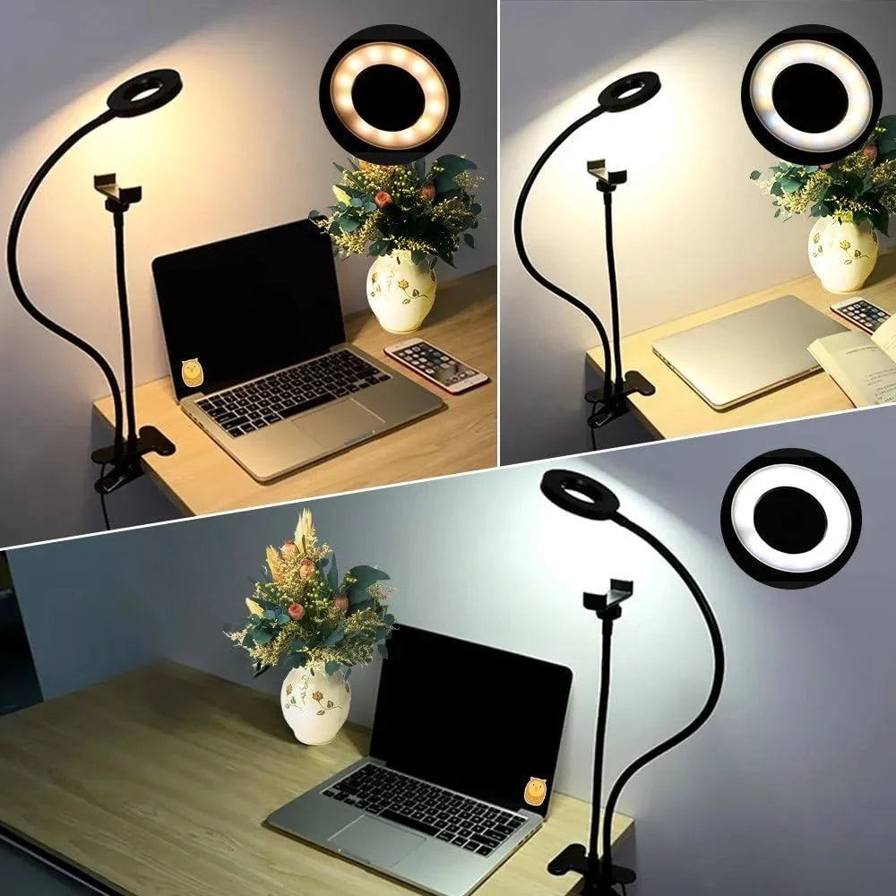 MINI-MOUNTED LED FILL LIGHT