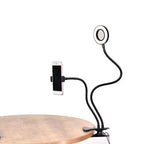MINI-MOUNTED LED FILL LIGHT