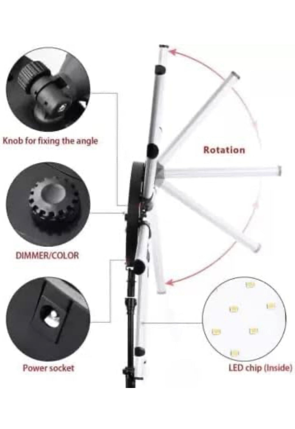 Twelve Arms Led Light