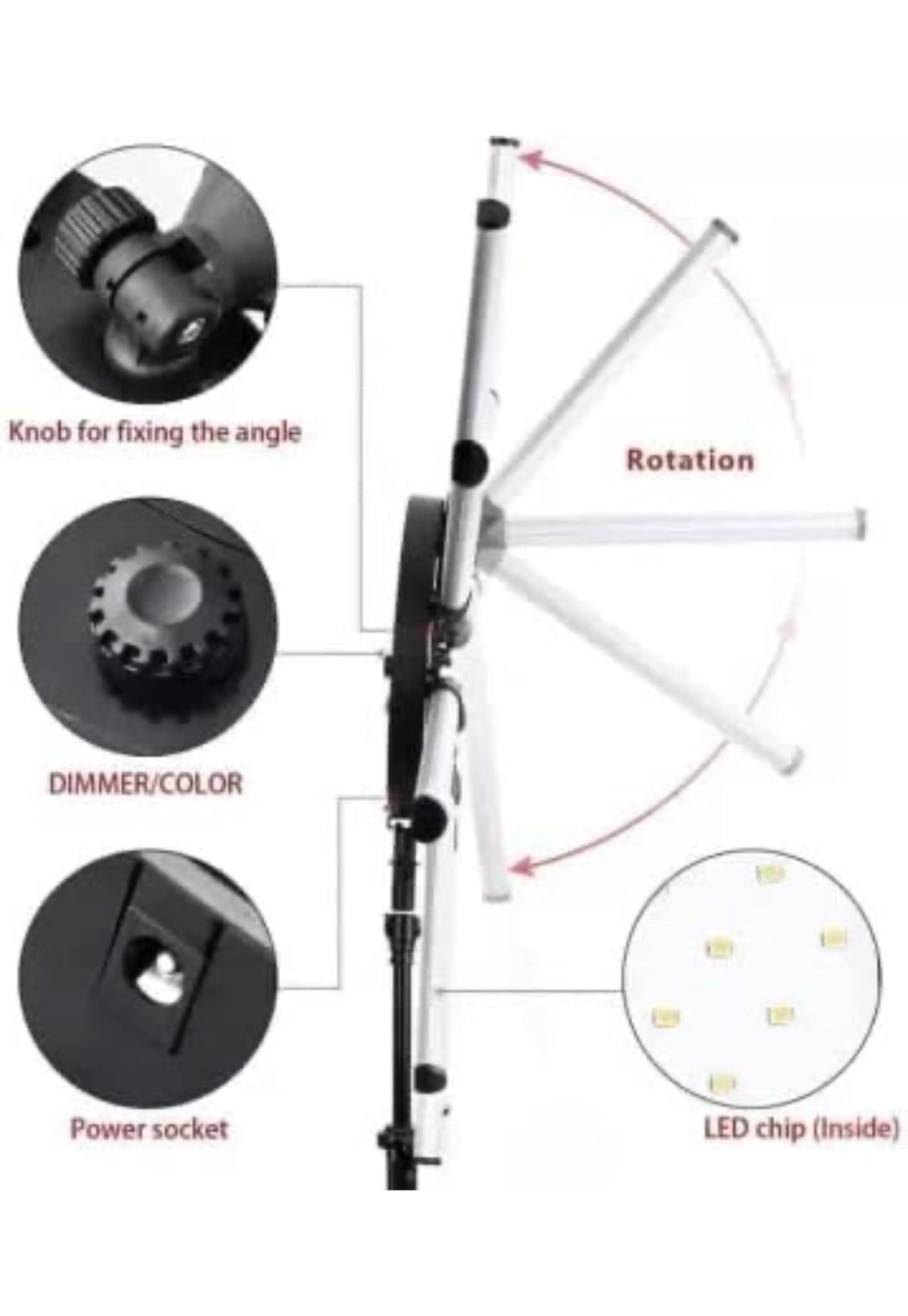 Twelve Arms Led Light