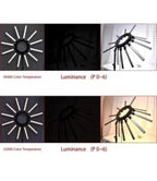 Twelve Arms Led Light