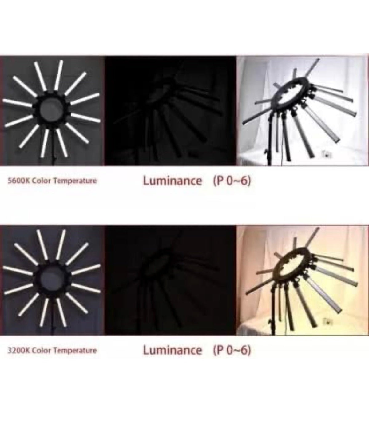 Twelve Arms Led Light