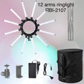 Twelve Arms Led Light